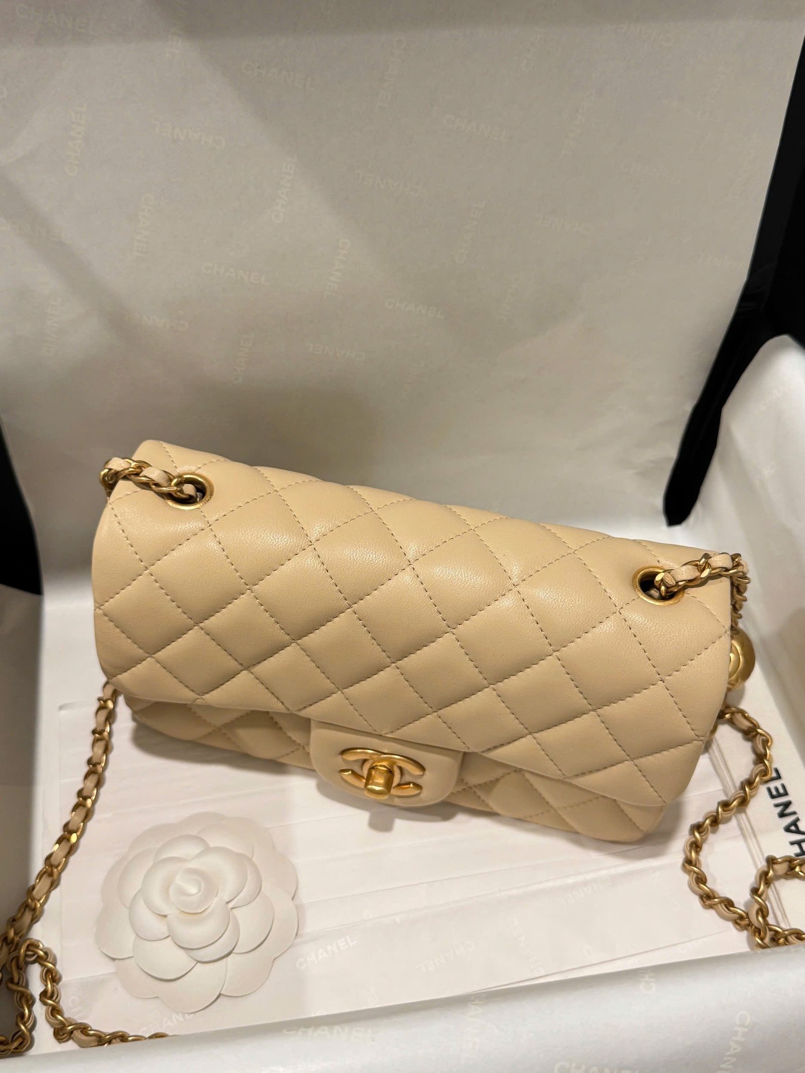 Chanel Classic Flap Mini Beige Gold Hardware 20cm - Image 5