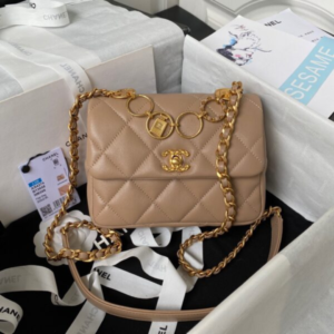 Chanel Woc Brown Handbags Pearl Handle Plated 11.5×14.5x5cm