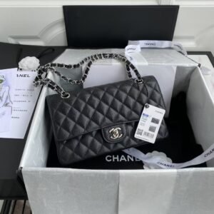 Chanel Classic Flap Medium Sliver Hardware
