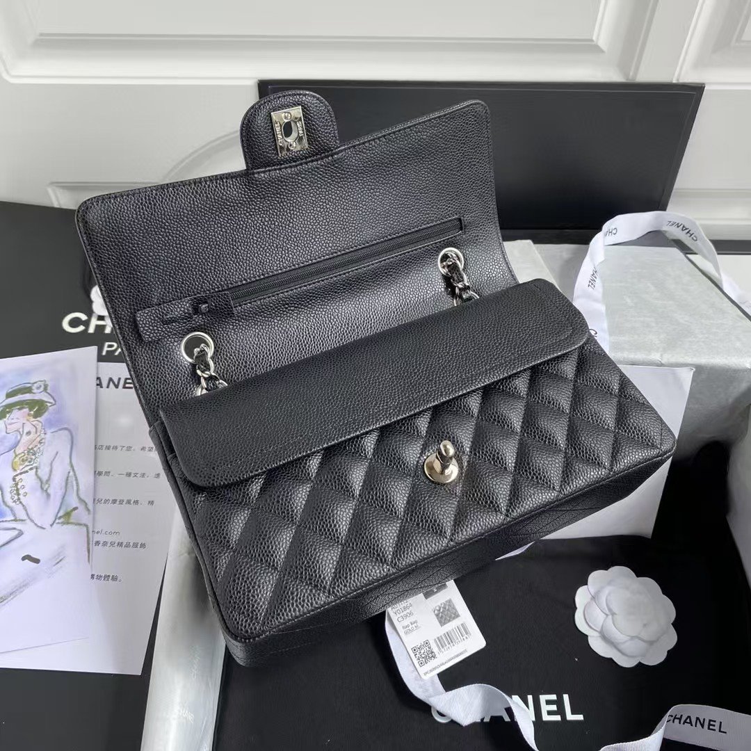 Chanel Classic Flap Medium Sliver Hardware - Image 6