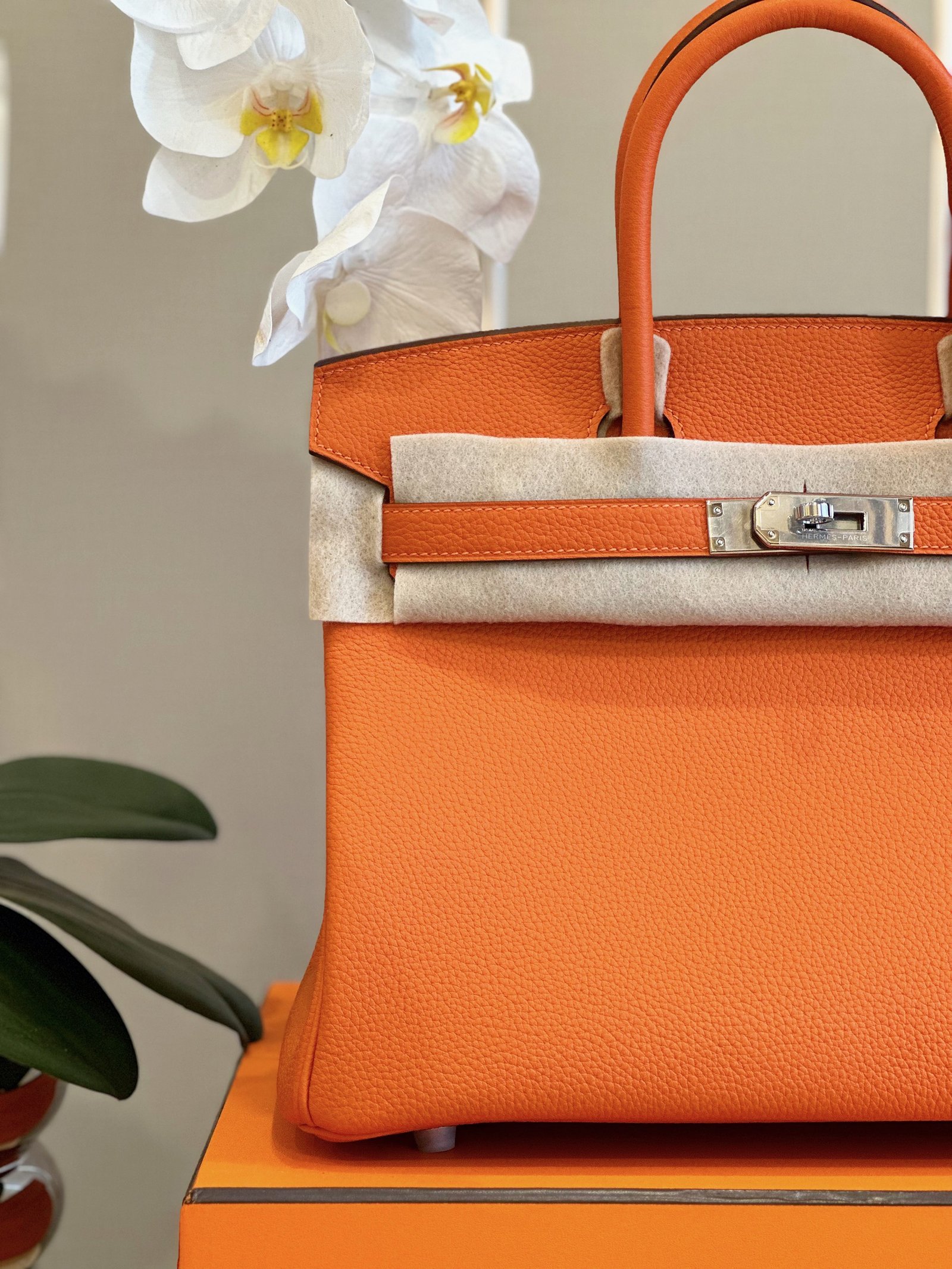 HN 30 ORANGE PALLADIUM HARDWARE - Image 5