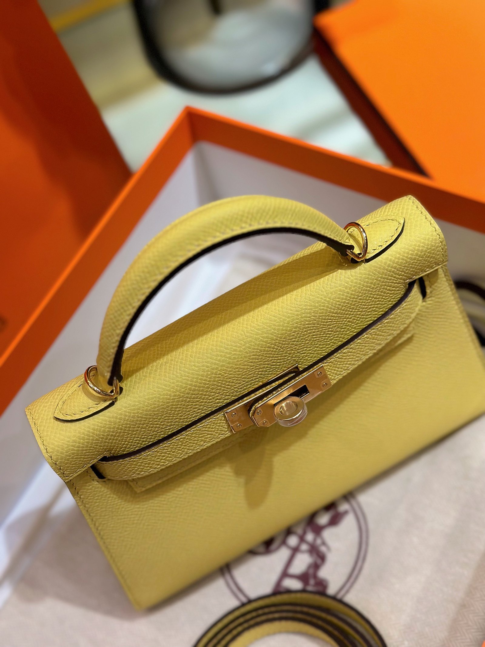 HN MINI 20 Yellow Gold Hardware - Image 6